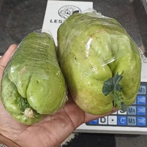 bibit labu siam baby unggul langsung dari kebun per pcs