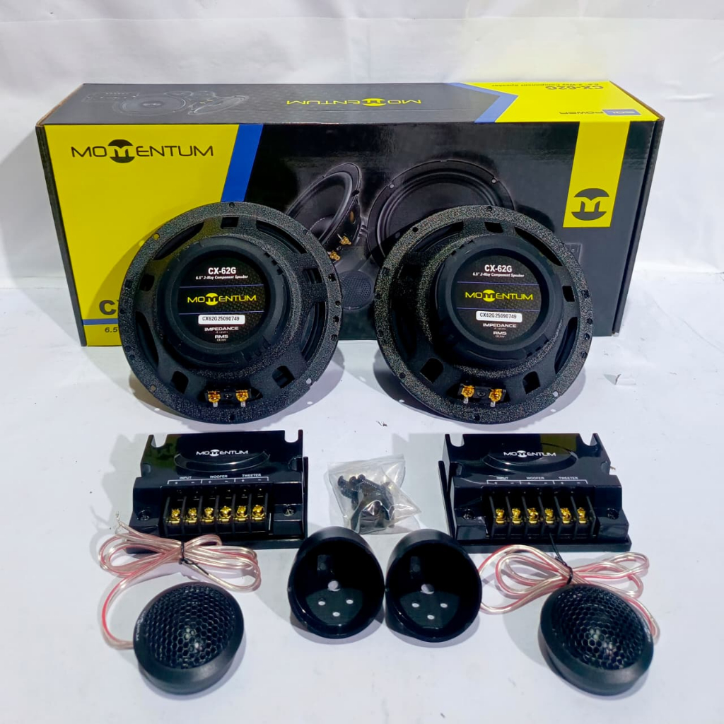 Speaker Momentum CX-62G Split 2 way component
