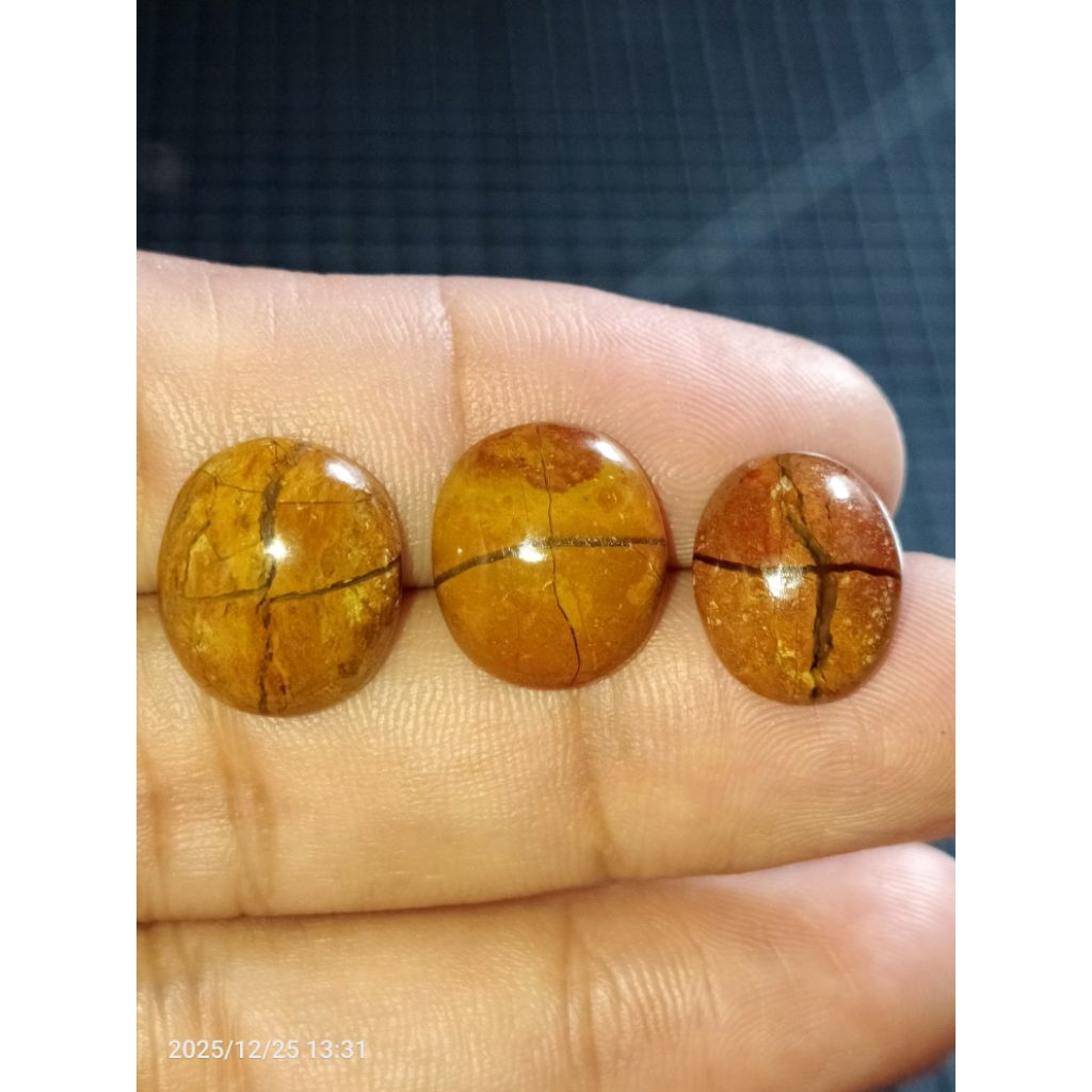 Akik Tapak Jalak Natural