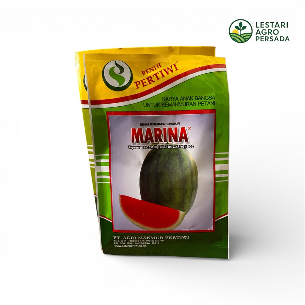 BIBIT SEMANGKA OVAL MARINA KEMASAN 20 gr - BENIH SEMANGKA HIBRIDA F1 MARINA POTENSI HASIL TINGGI