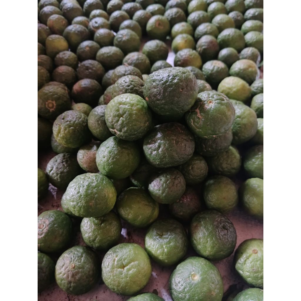 jeruk limau 1 kg