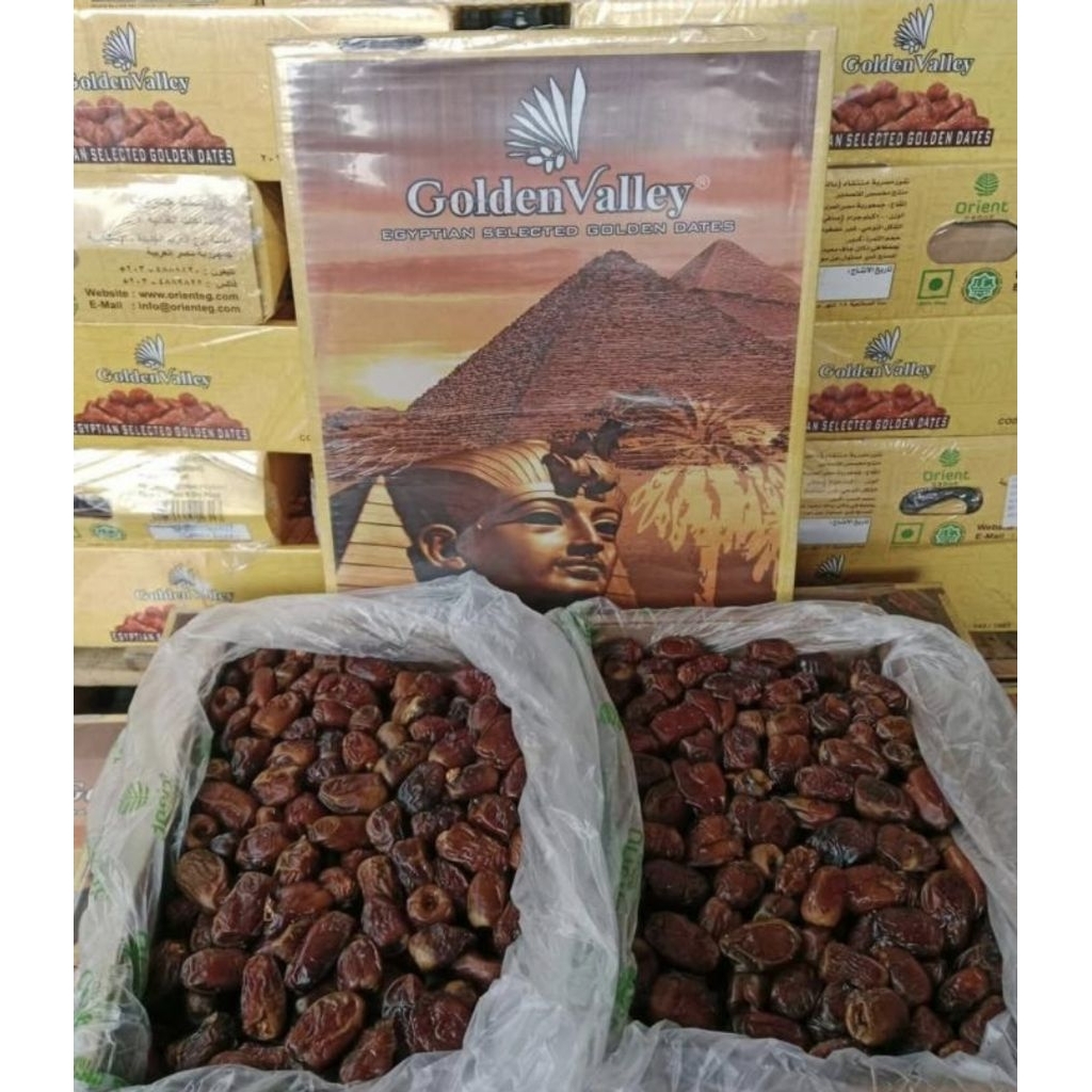 1DUS KURMA GOLDEN VALEY 10KG