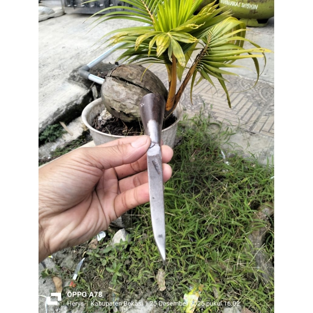 pahat/tatah kayu 1cm