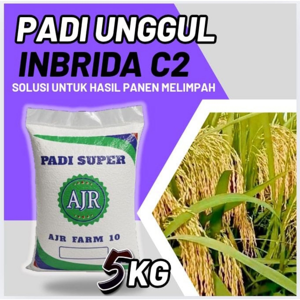 Benih padi unggul INBRIDA C2 5Kg