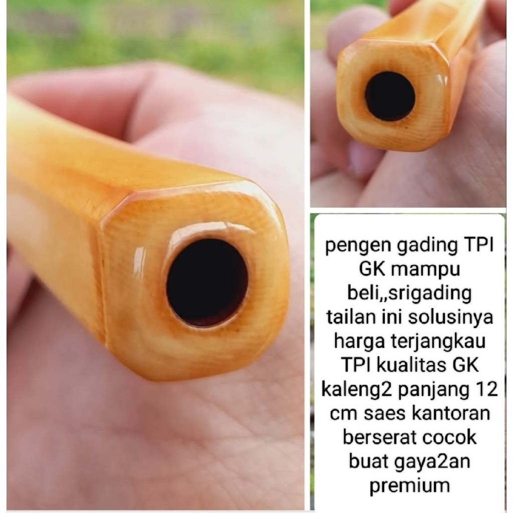 cangklong sari gading panjang 11 cm premium mirip gading