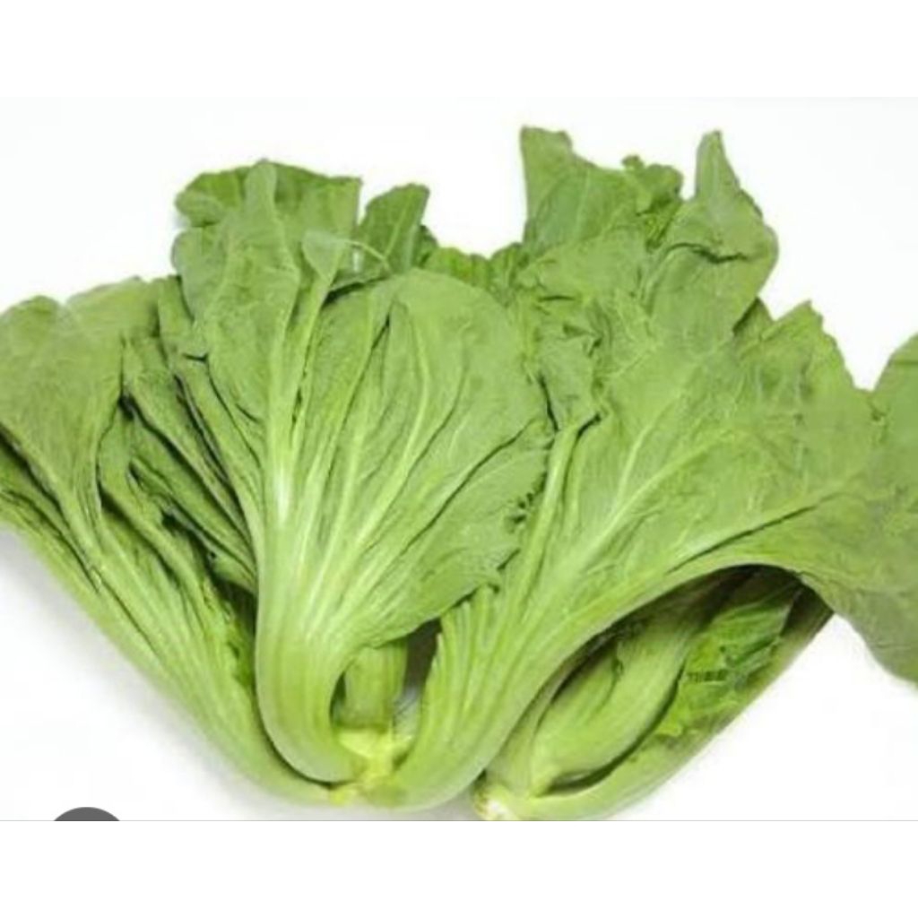 SShd Sawi pait 250gram