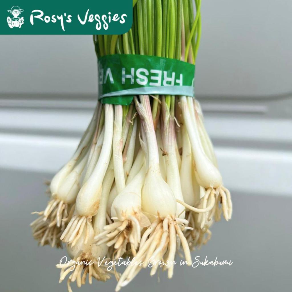 Daun Lokio Organik | Daun Bawang Lokio | Bawang Batak | Leek | 150 gram