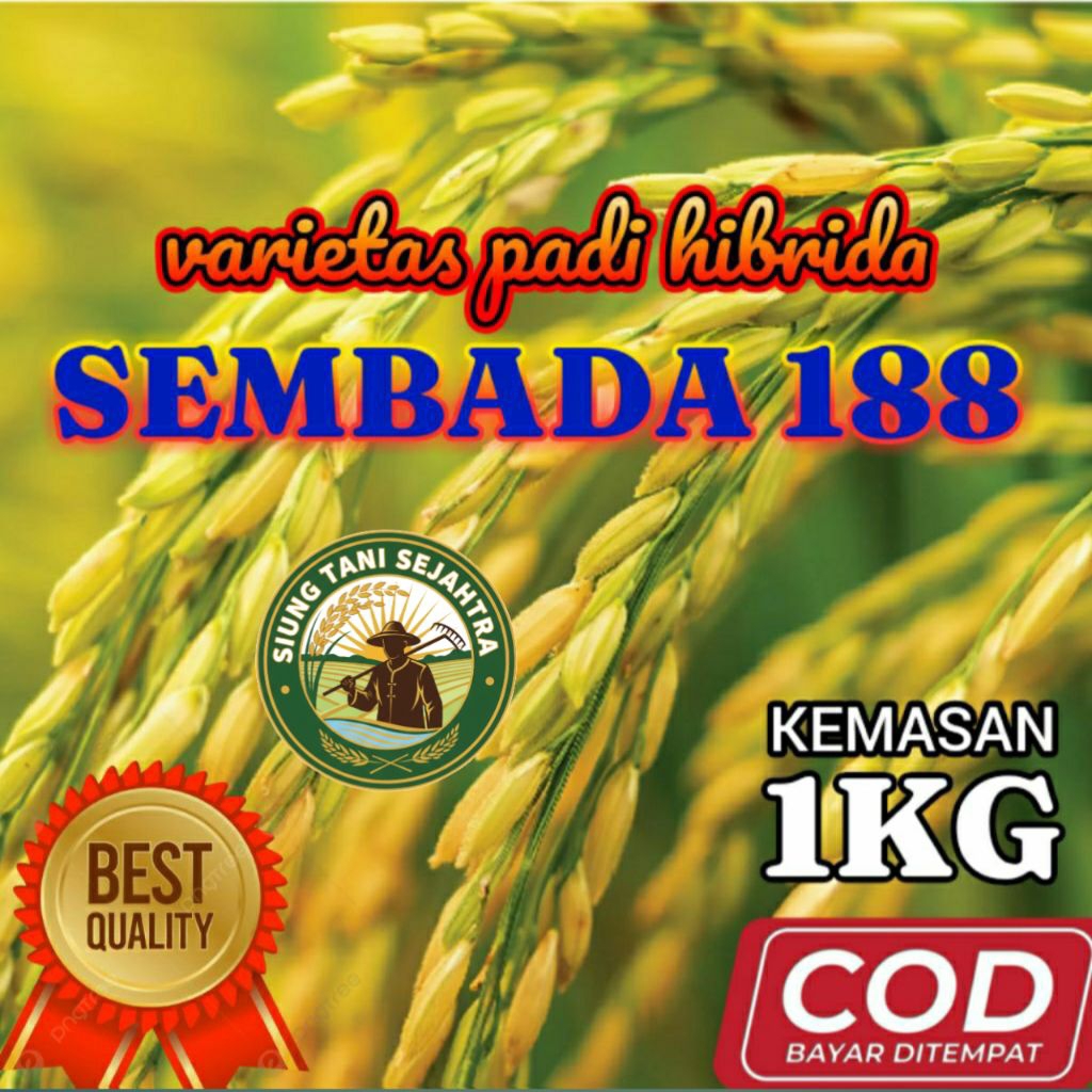BENIH PADI HIBRIDA SEMBADA 188 UNGGUL BERKUALITAS KEMASAN 1 KG