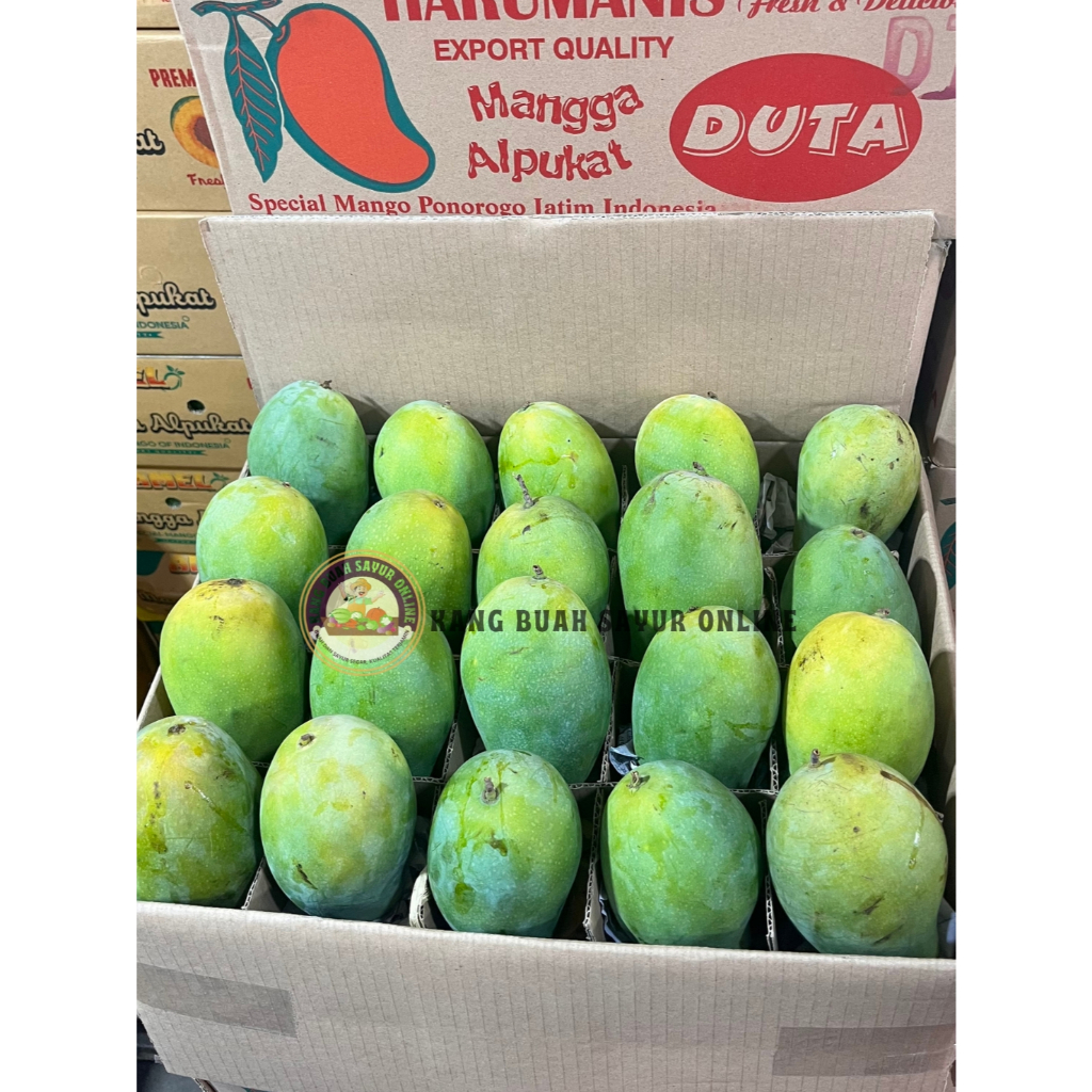 Mangga alpukat / Dus 10Kg/ Mangga Manis/ Masak pohon