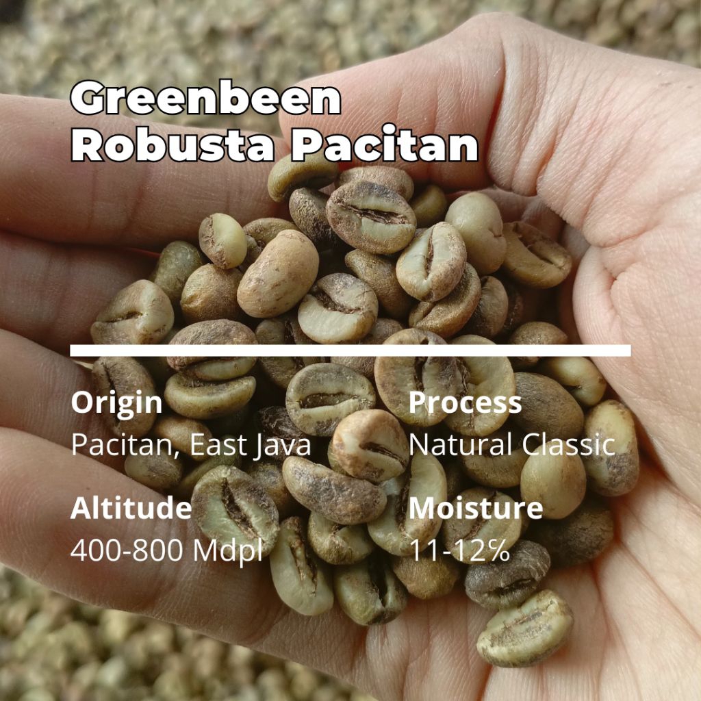 Greenbeen Robusta Pacitan Biji Kopi Robusta Origin Pacitan
