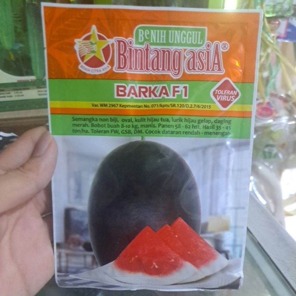 Benih Bibit Semangka Non Biji Barka F1 isi 20g Cap Bintang Asia