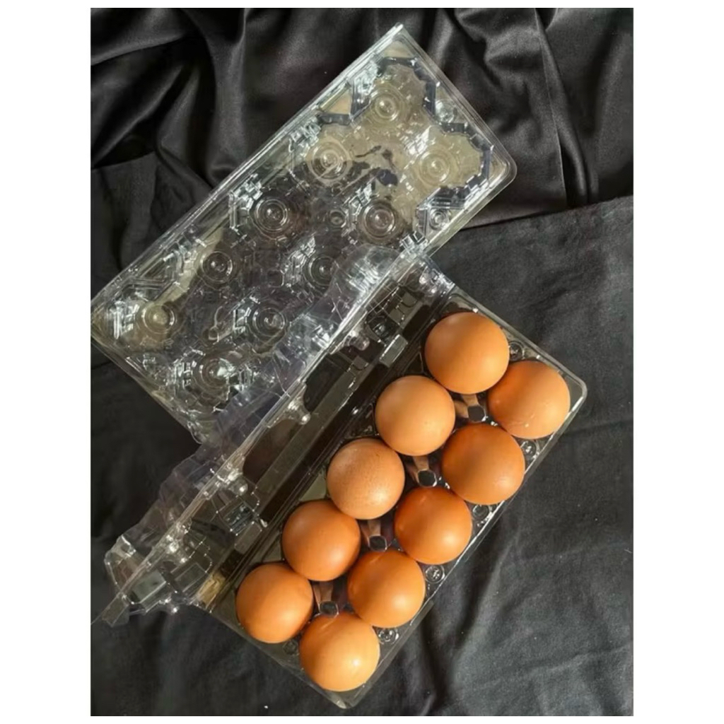 Mika Tray Telur Ayam isi 10 bulat Murah Berkualitas Dengan Kancing