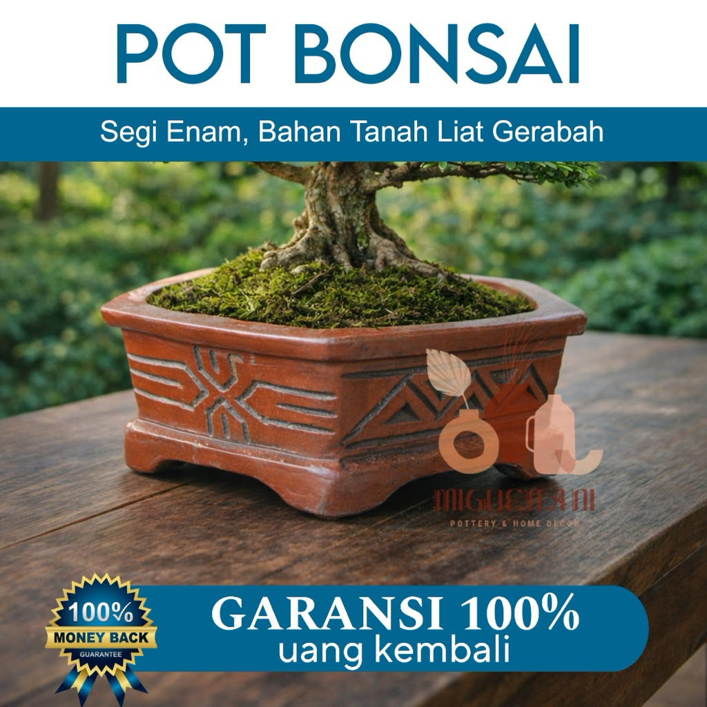 POT BONSAI SEGIENAM GERABAH BONSAI ANTING PUTRI