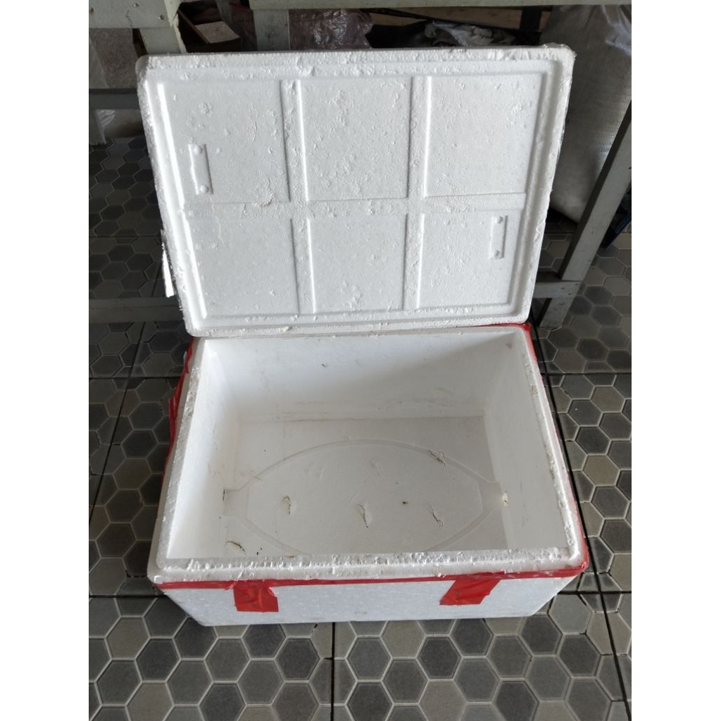 Styrofoam Bekas untuk menanam tanaman