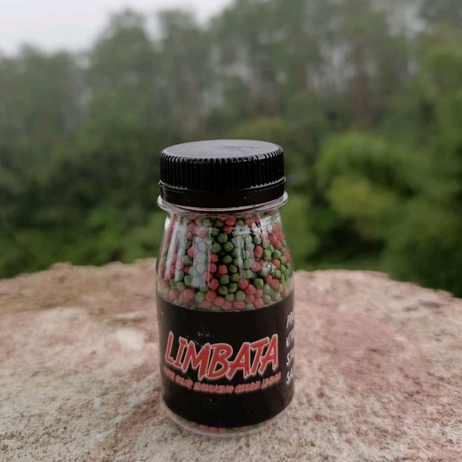 Pelet Limbata Super Color RKFish Aquatic Pakan Channa Limbata