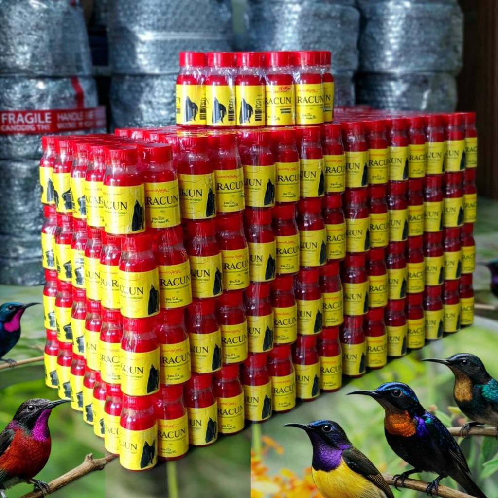 PENGGACOR SOGON KONIN . NEXTAR RACUN KONSLET