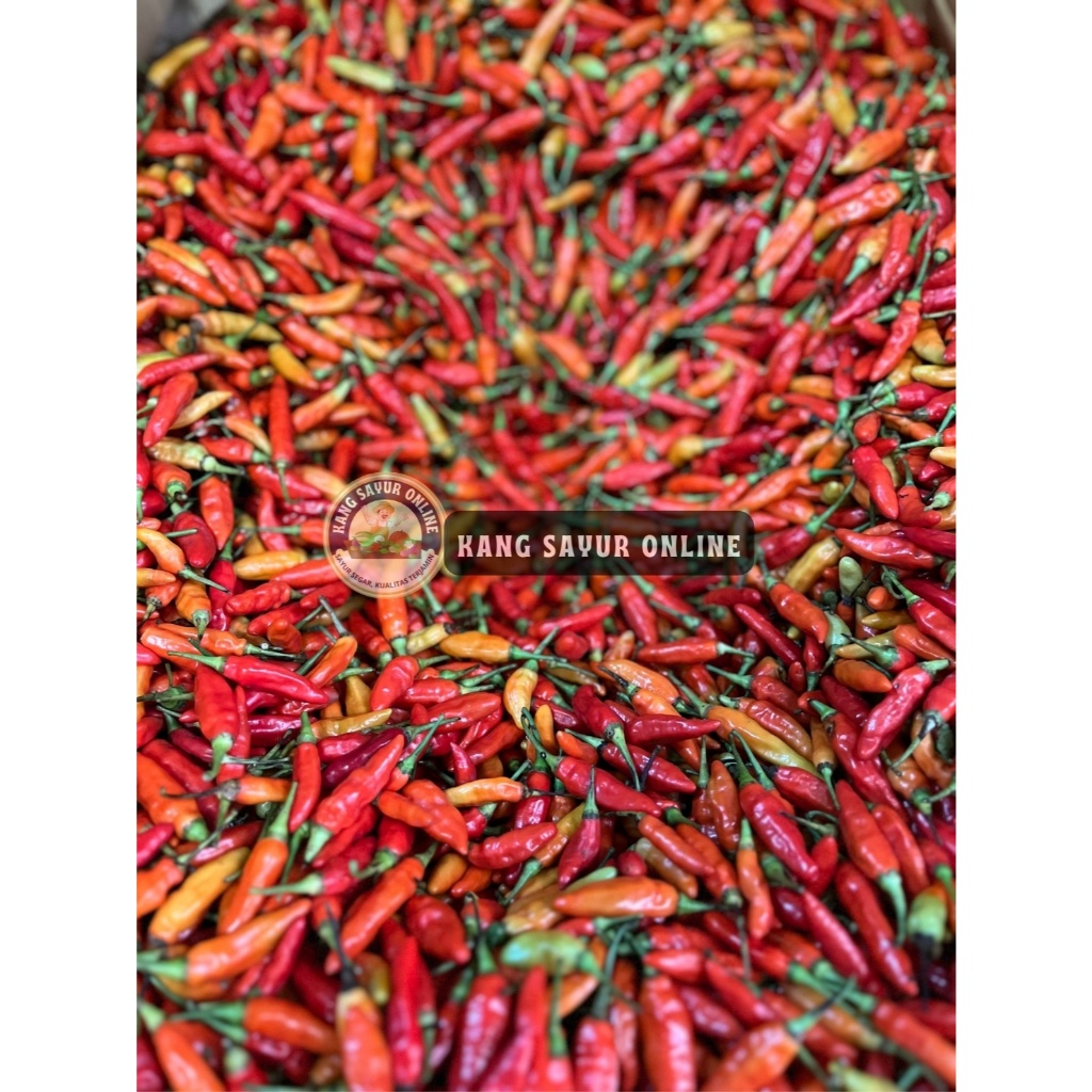 Cabe rawit merah/ kualitas super fresh/ murah/ 1Kg