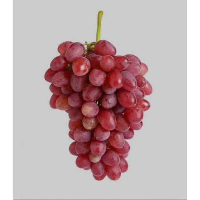 Anggur Red Globe Aus Buah Anggur Import Segar