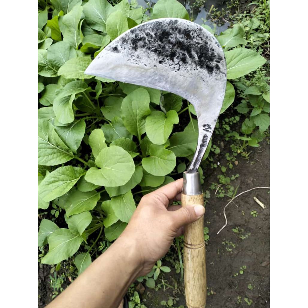 Arit Baja Selap Cap Mata - ( Sudah Asah) Sabit Rumput Super Tajam & Awet