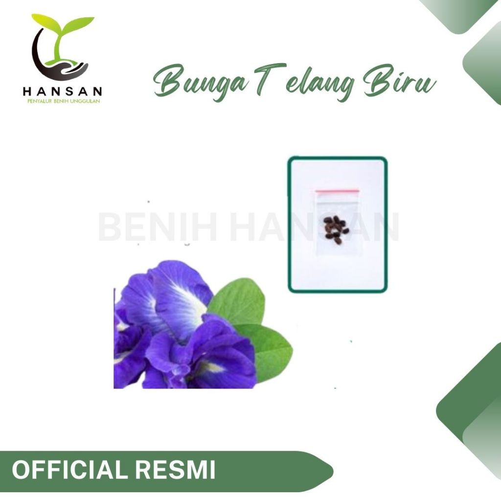 10 Bibit Bunga Telang Biru Non Tumpuk Benih Tanaman Bunga Hias