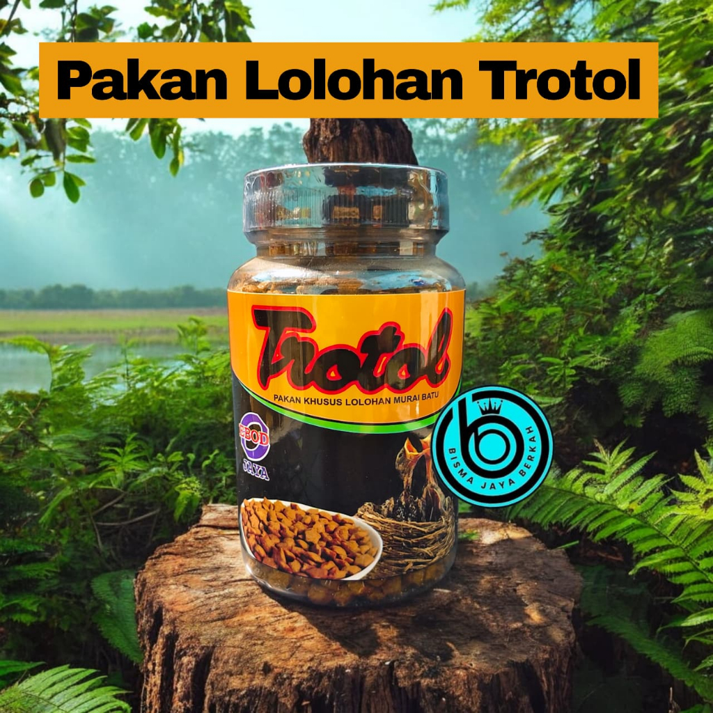 TROTOL LOLOHAN PAKAN LOLOHAN VOER KHUSUS LOLOHAN MURAI BATU POKCAI DLL