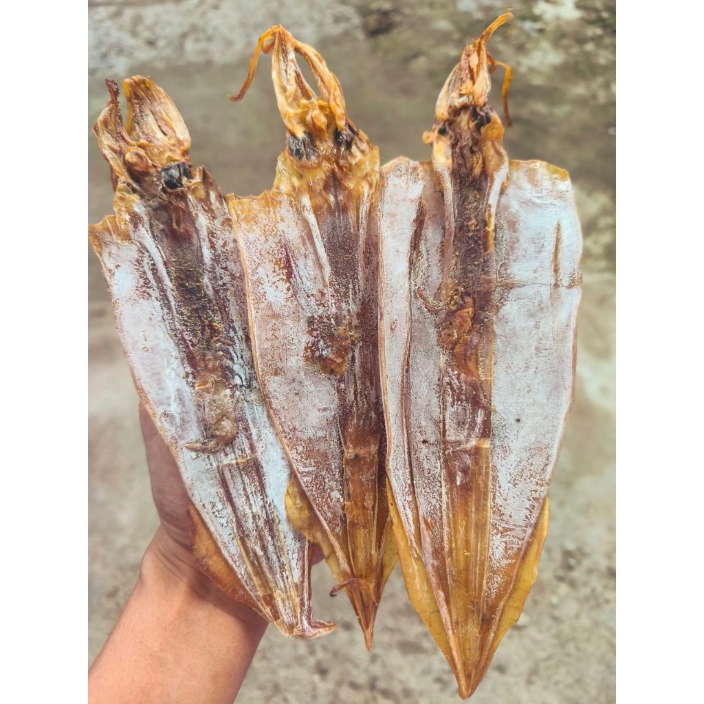 cumi belah juhi sotong kering kualitas no.1