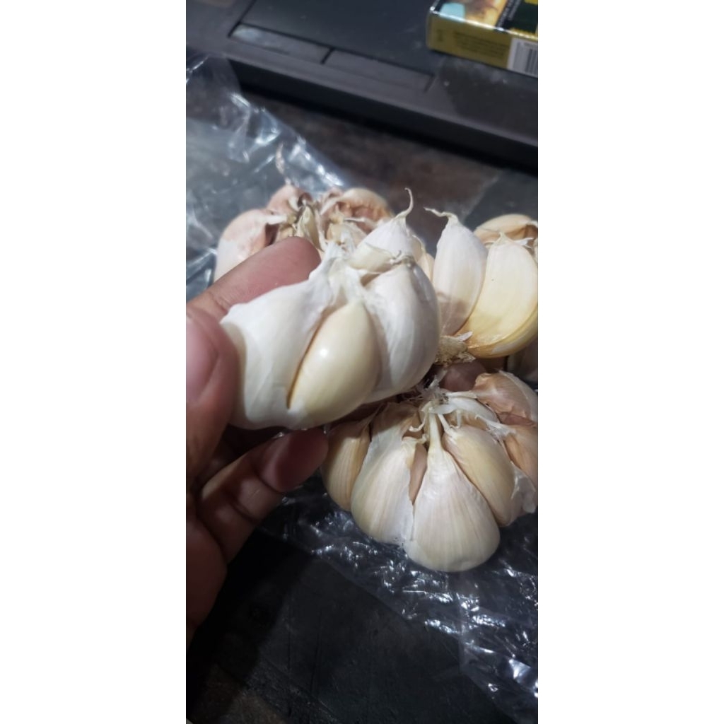 Bawang Putih 1kg