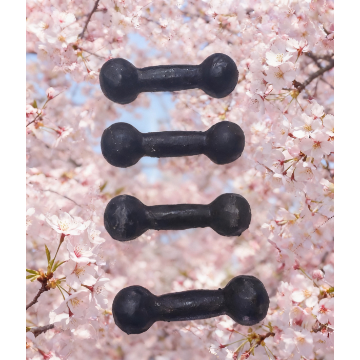 Barbel Besi/Dumble Besi 2 kg/3 kg/4 kg/5 kg