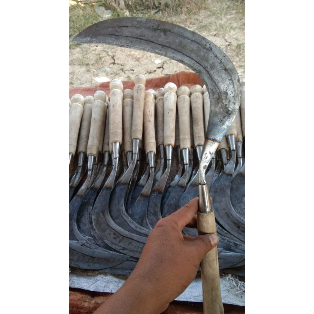 sabit rumput baja isen merk 555 madura