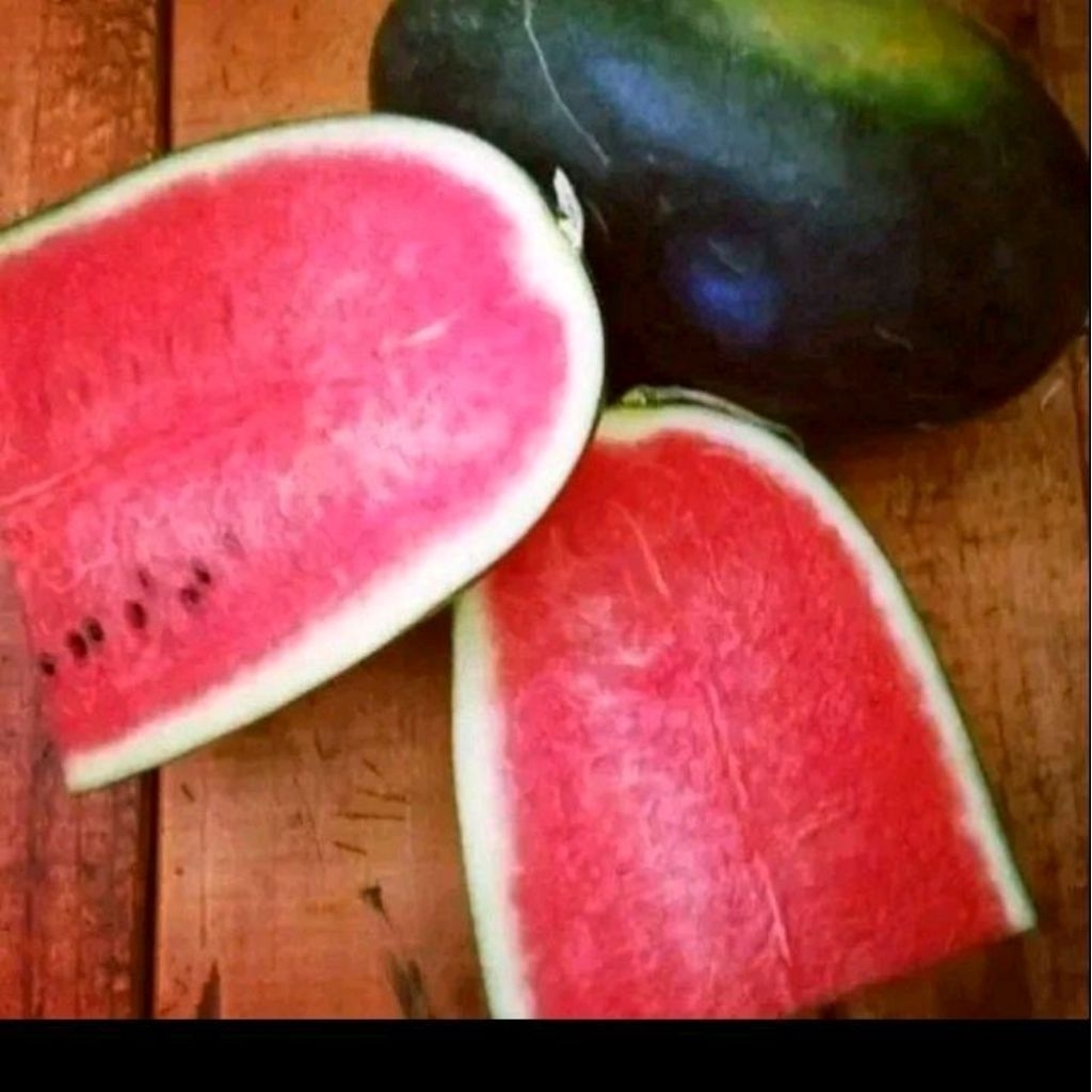 Biji benih semangka inul Mardy