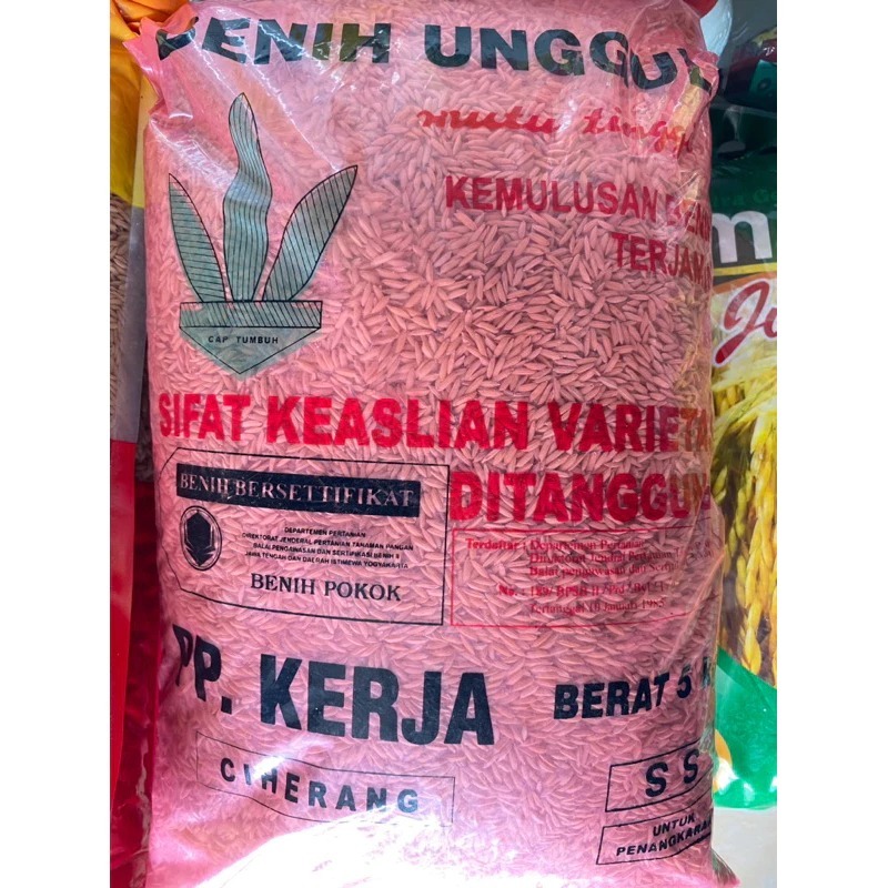 Benih Padi Pp kerja boyolali ciherang 5kg/ ciherang boyolali 5kg ORIGINAL