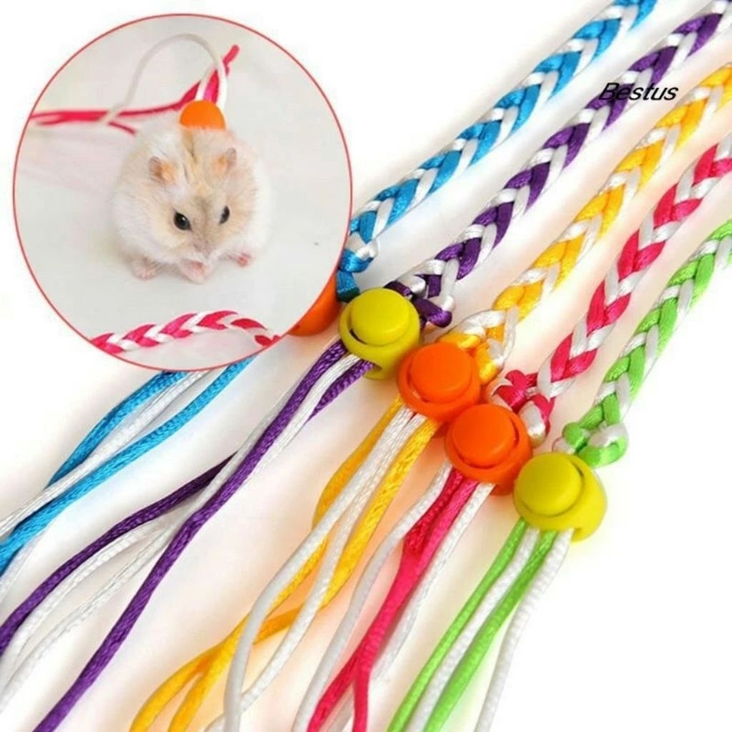 Tali tuntun dan harness satin untuk hamster tupai sugarglider