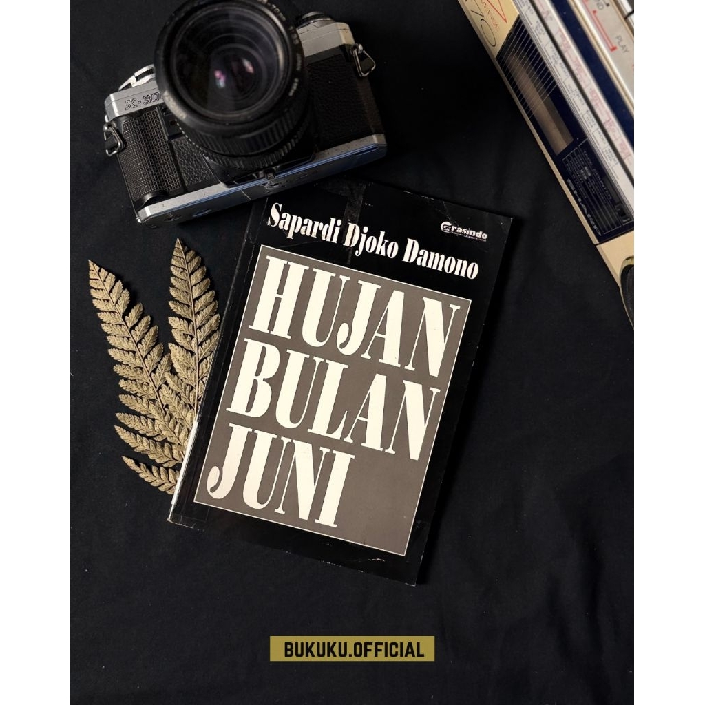 Buku Hujan Di bulan juni/Buku Puisi/Buku Sajak/Sapardi Djoko Damono