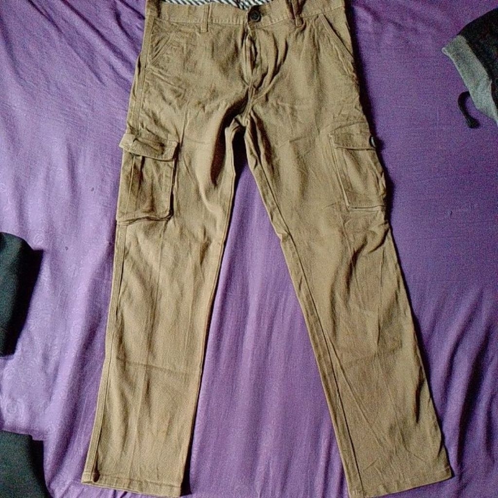 Celana Cargo Volcom