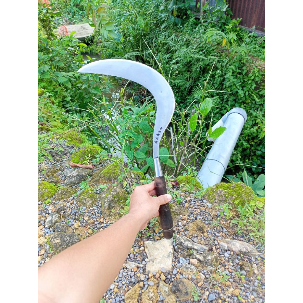 peralatan berkebun arit bintang lima asli baja per