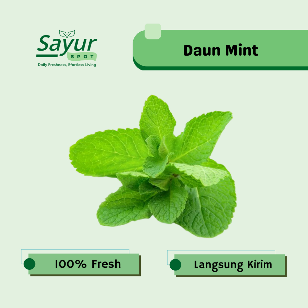 Daun Mint Segar / Sayur Bekasi | Sayur Spot Bekasi