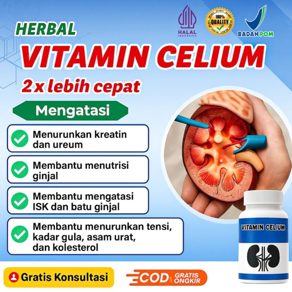 Vitamin Celium Halal Membantu Menutrisi Ginjal, Menurunkan Kreatin & Ureum Dalam Darah