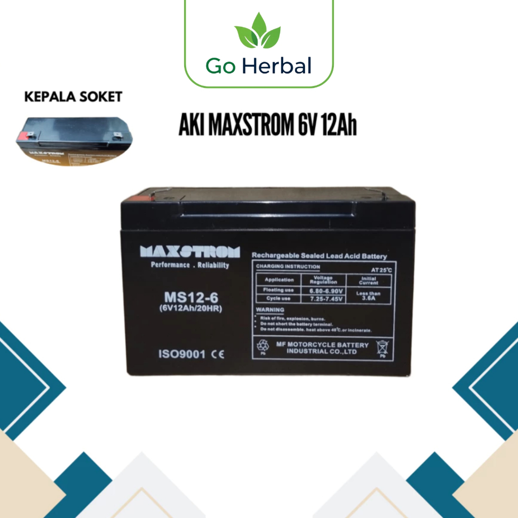 Aki Maxstrom Aki Kering Aki Mobil Mainan VRLA 6V 12AH