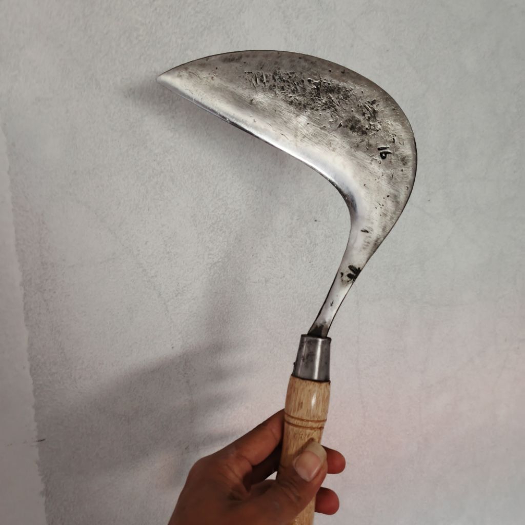 rumput super pakan ternak arit rumput baja super tajam original