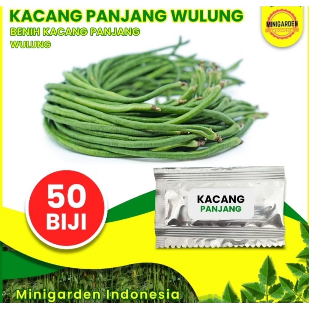 50 Benih Kacang panjang wulung bibit tanaman sayur sayuran / Banjarmasin / Kalimantan Selatan