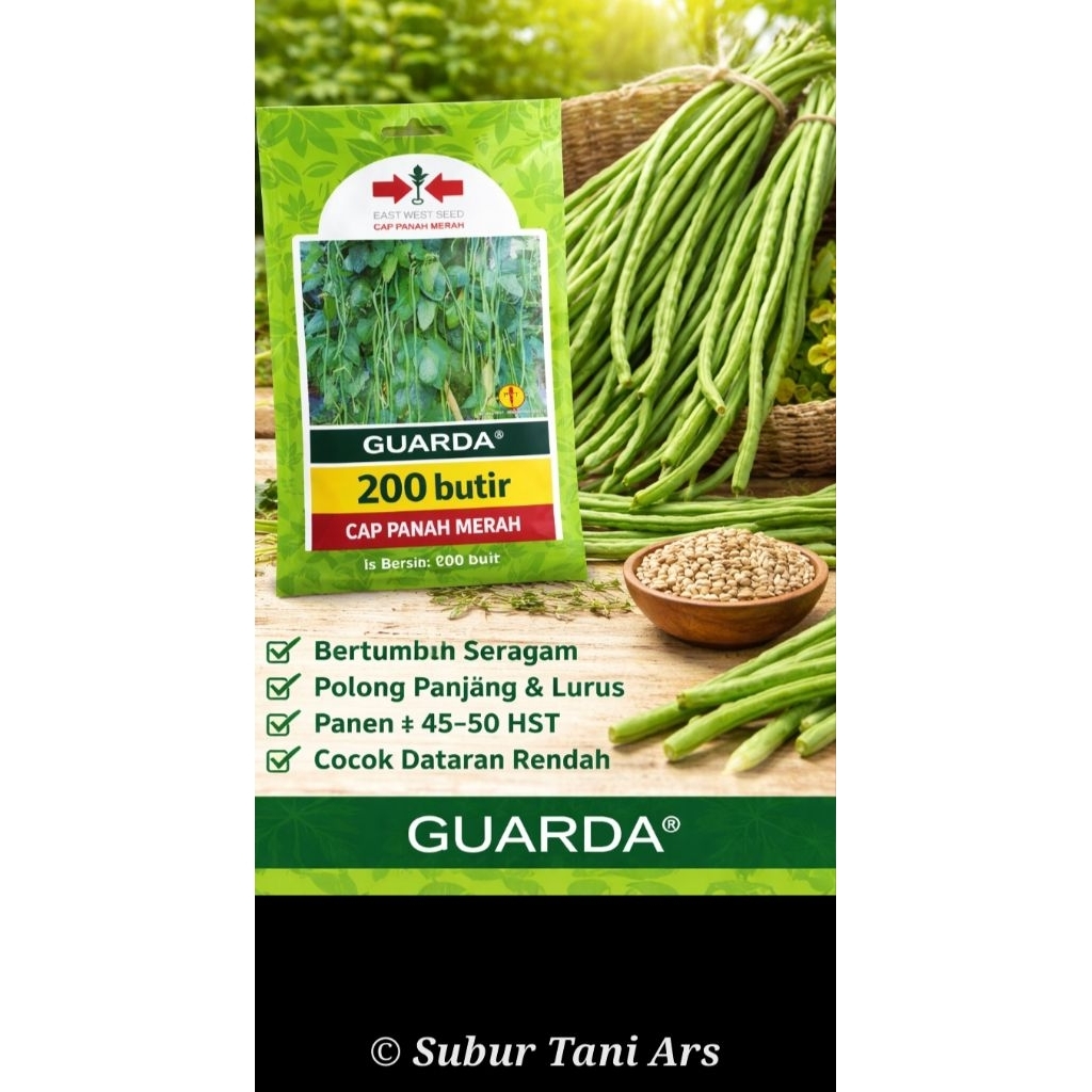 Bibit kacang panjang guarda panah merah isi 200 butir