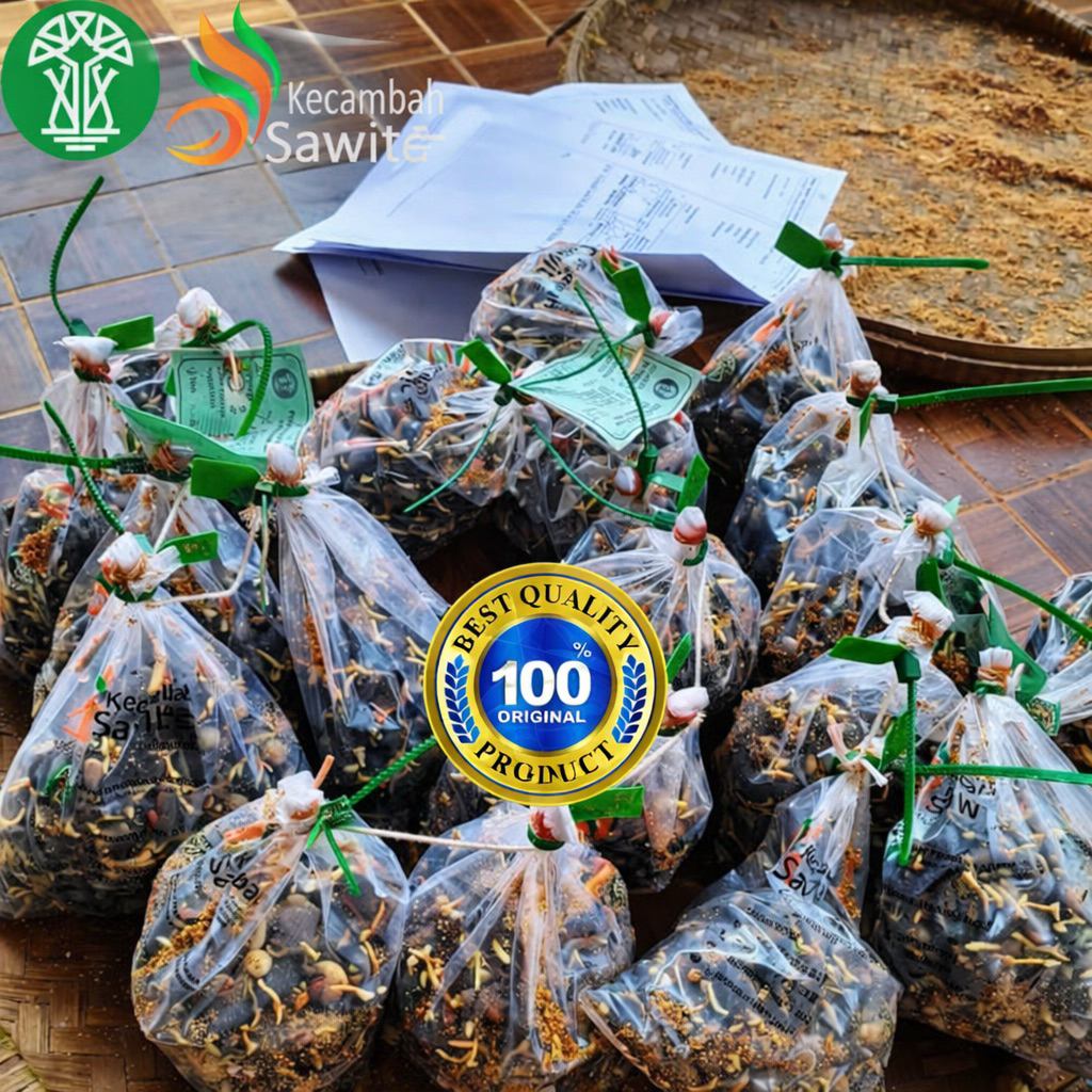 Kecambah Sawit Unggul Bersertifikat PPKS239