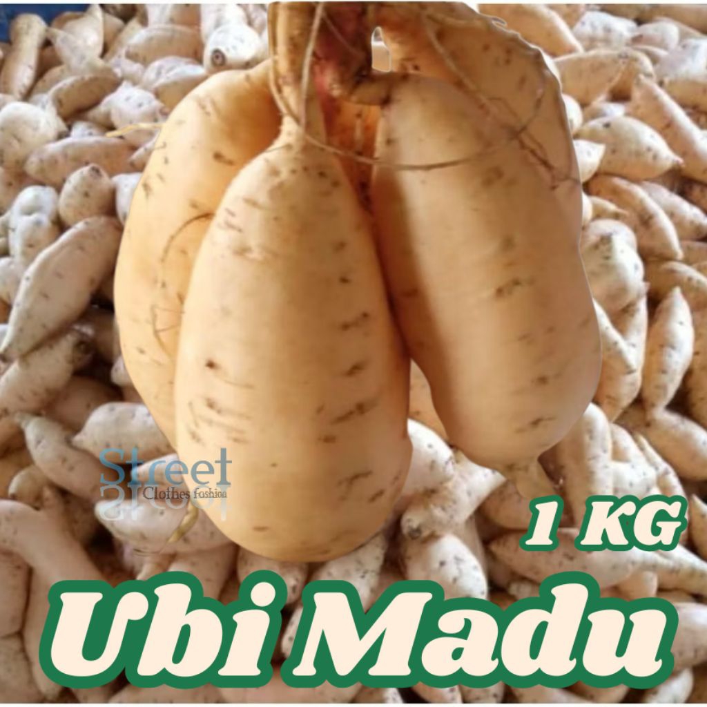Ubi Madu Cilembu Asli Sumedang Manis Legit | Ubi Madu Oven / Mentah Fresh Panen