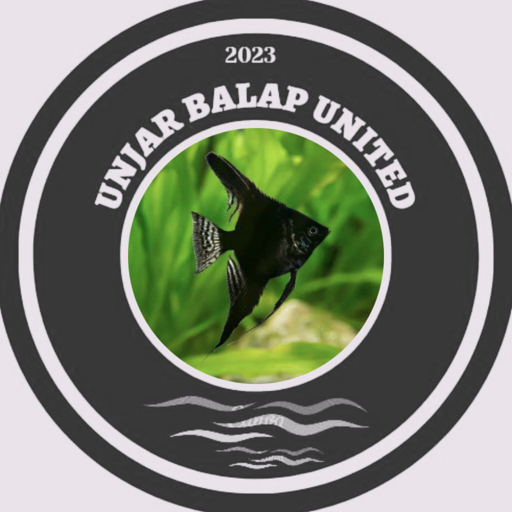 1pcs black angel manfish  jumbo accessories aquarium