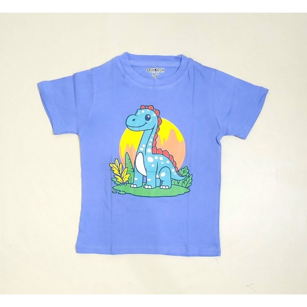 Baju Branded Anak Laki Laki (Oshkosh)