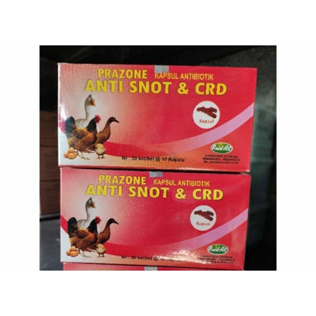 Anti snot prazone obat snot pilek ngorok ayam unggas