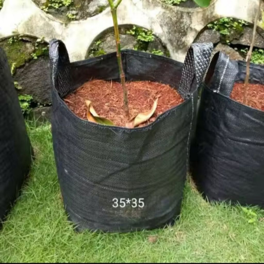 Planter Bag 32 liter (35*35 cm) / Planter Bag ukuran 32 Liter / Pot besar /Pot Tanaman Buah