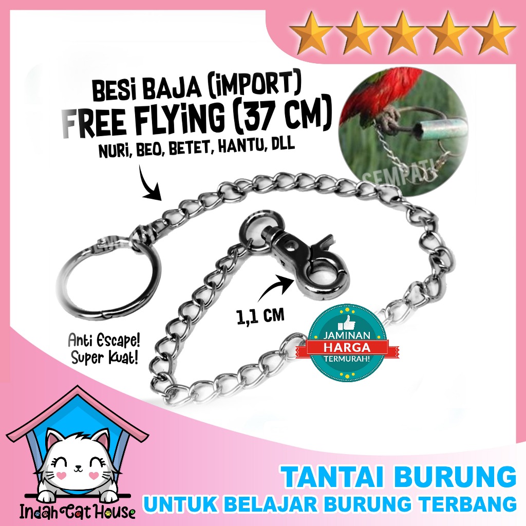 RANTAI BURUNG TALI BURUNG FREE FLY FF RANTAI LOVEBIRD RANTAI BESI RING LOVEBIRD IKAT KAKI UMBARAN TR