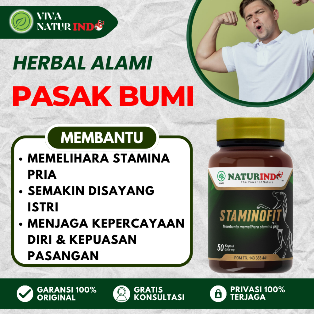 Obat Herbal Pasak Bumi Staminofit Naturindo Suplemen Pria Dewasa Membantu Memelihara Stamina Pria