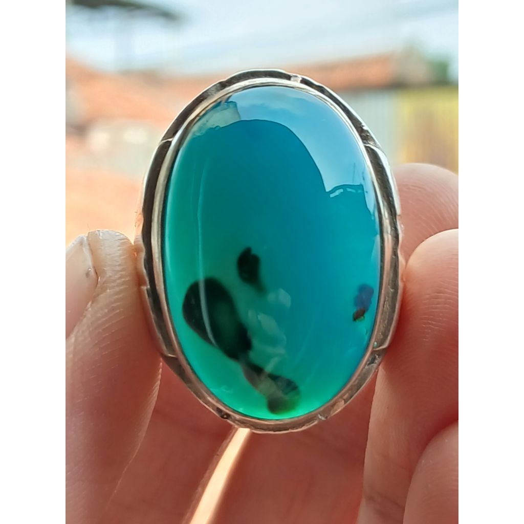 BACAN DOKO TOTOL COKLAT ENCER DIM JUMBO